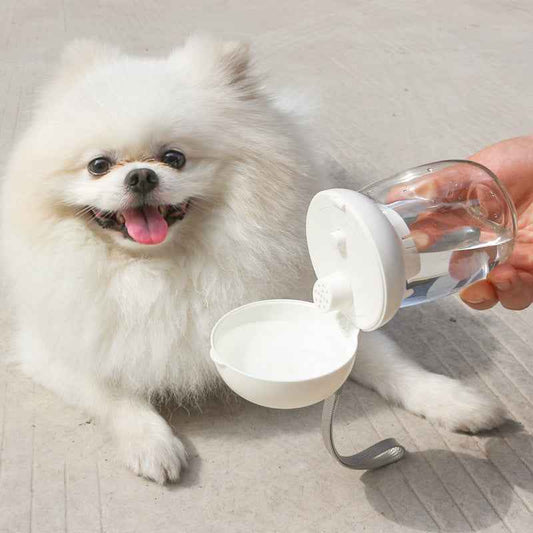Foldable And Portable Pet Cat And Dog Outdoor Drinking Glass Pet Products  -  - Pets Crazy Shops -