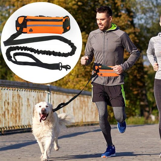 Pet Purse Leash For Dog Walking  -  - Pets Crazy Shops -