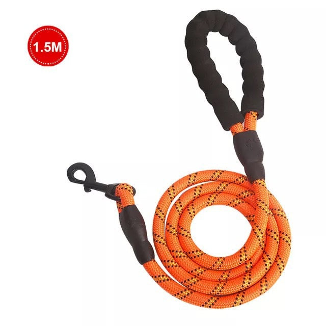 Small Medium Sized Pet Dog Luminous Leash Chain Puppies  -  - Pets Crazy Shops -