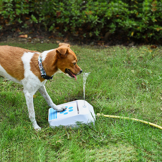 Outdoor Supplies Dog Water Feeder Intellectual Toys  -  - Pets Crazy Shops -