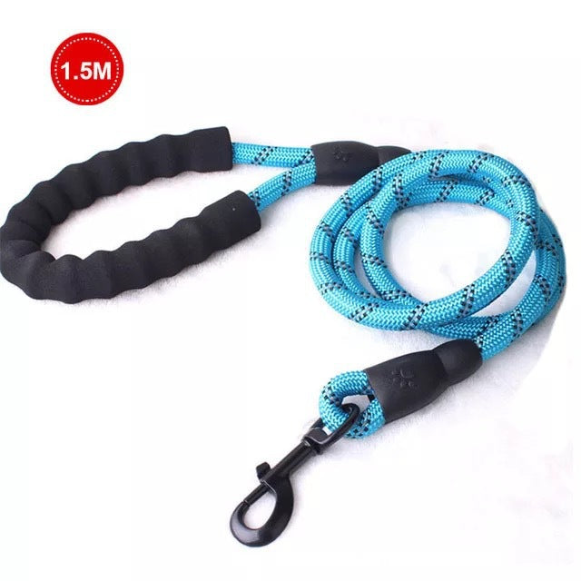 Small Medium Sized Pet Dog Luminous Leash Chain Puppies  -  - Pets Crazy Shops -