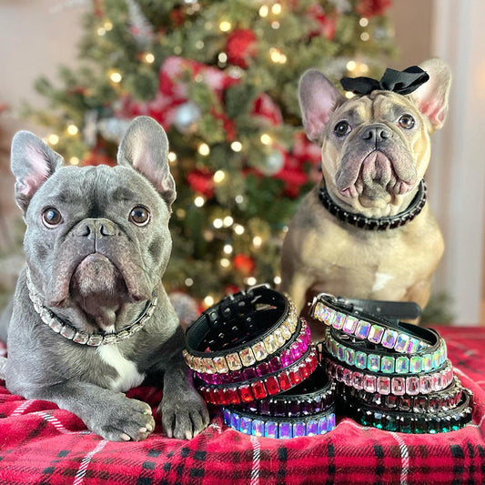 PU Dog  Cat Collar  -  - Pets Crazy Shops -
