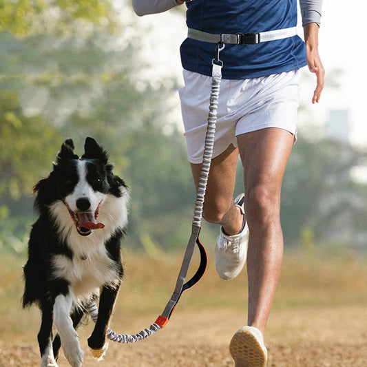 Pet Supplies Outdoor Running Dog Leash  -  - Pets Crazy Shops -