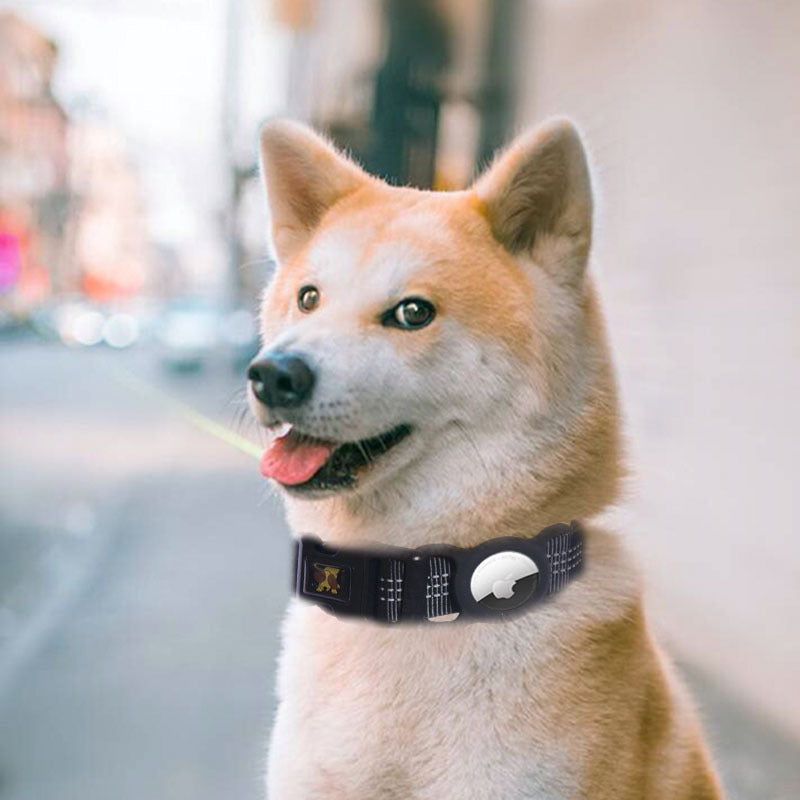Pet Products Mobile Phone Tracker Protector  -  - Pets Crazy Shops -