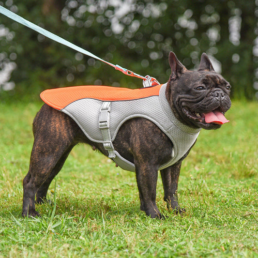 Summer Pet Outdoor Breathable Cooling Vest  -  - Pets Crazy Shops -