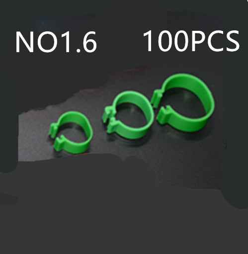 100 PCS the chicken foot ring  -  - Pets Crazy Shops -